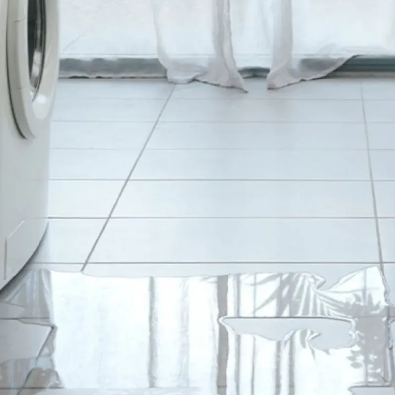 Appliance Leak Cleanup in Bristol, FL