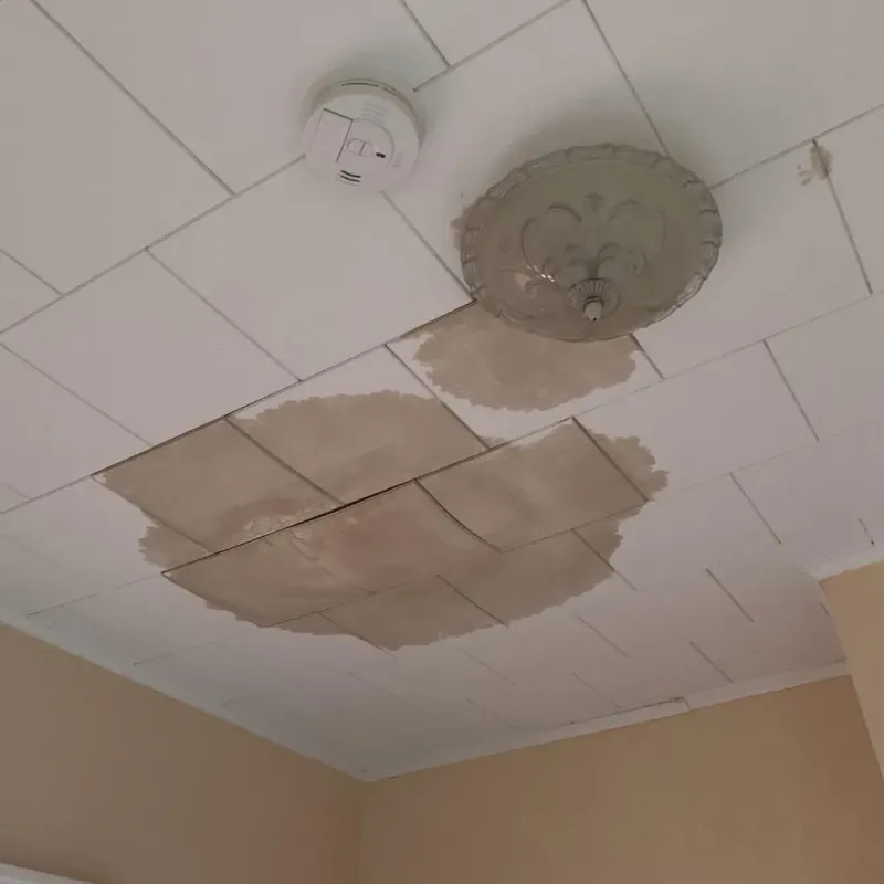 Ceiling Water Damage Repair in Bristol, FL