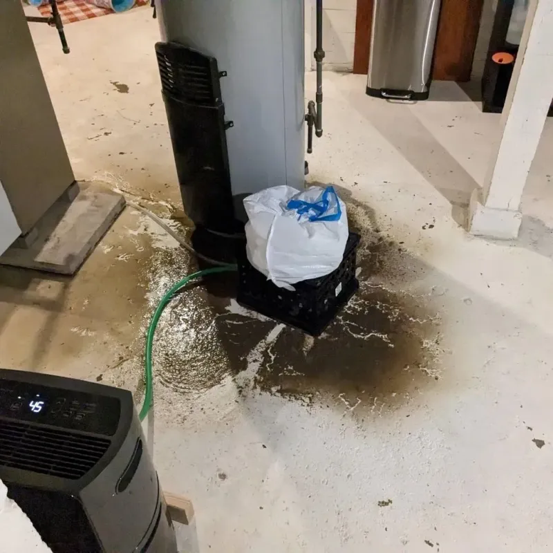Sewage Backup Cleanup Service in Bristol, FL